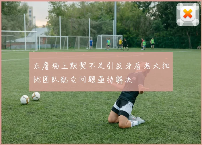 东詹场上默契不足引发矛盾老大担忧团队配合问题亟待解决